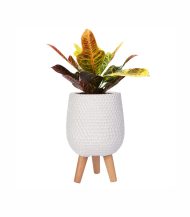 Honeycomb Style - Зображення 2