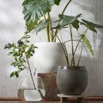 Mica Douro Pot